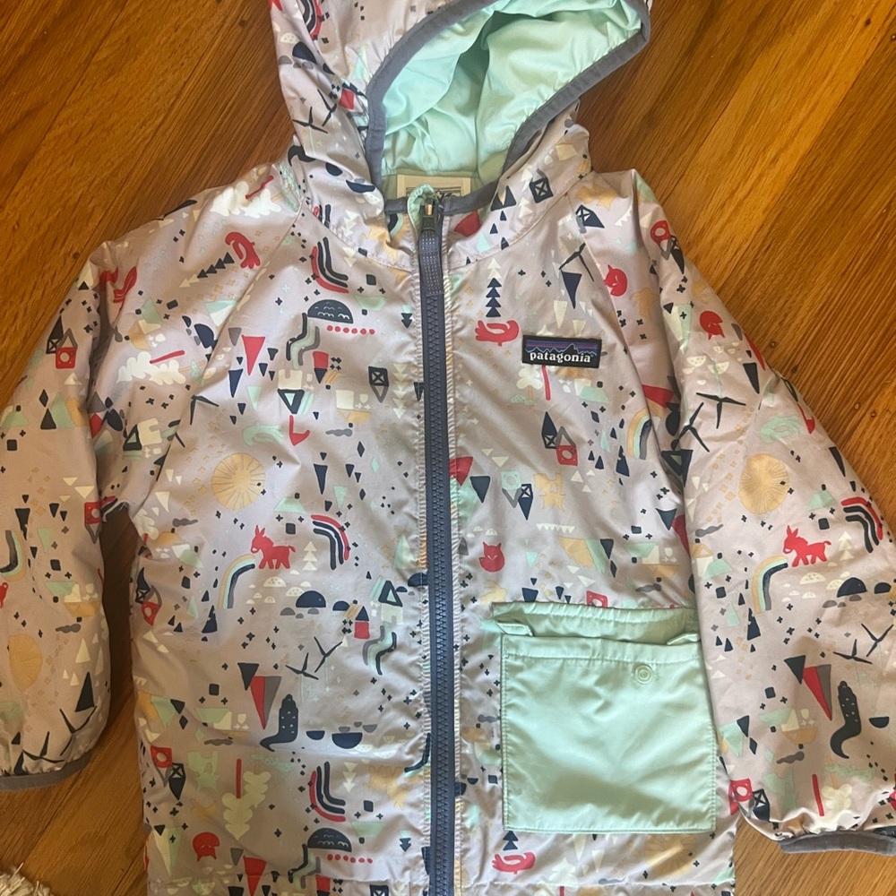 Patagonia Kids Down Jacket